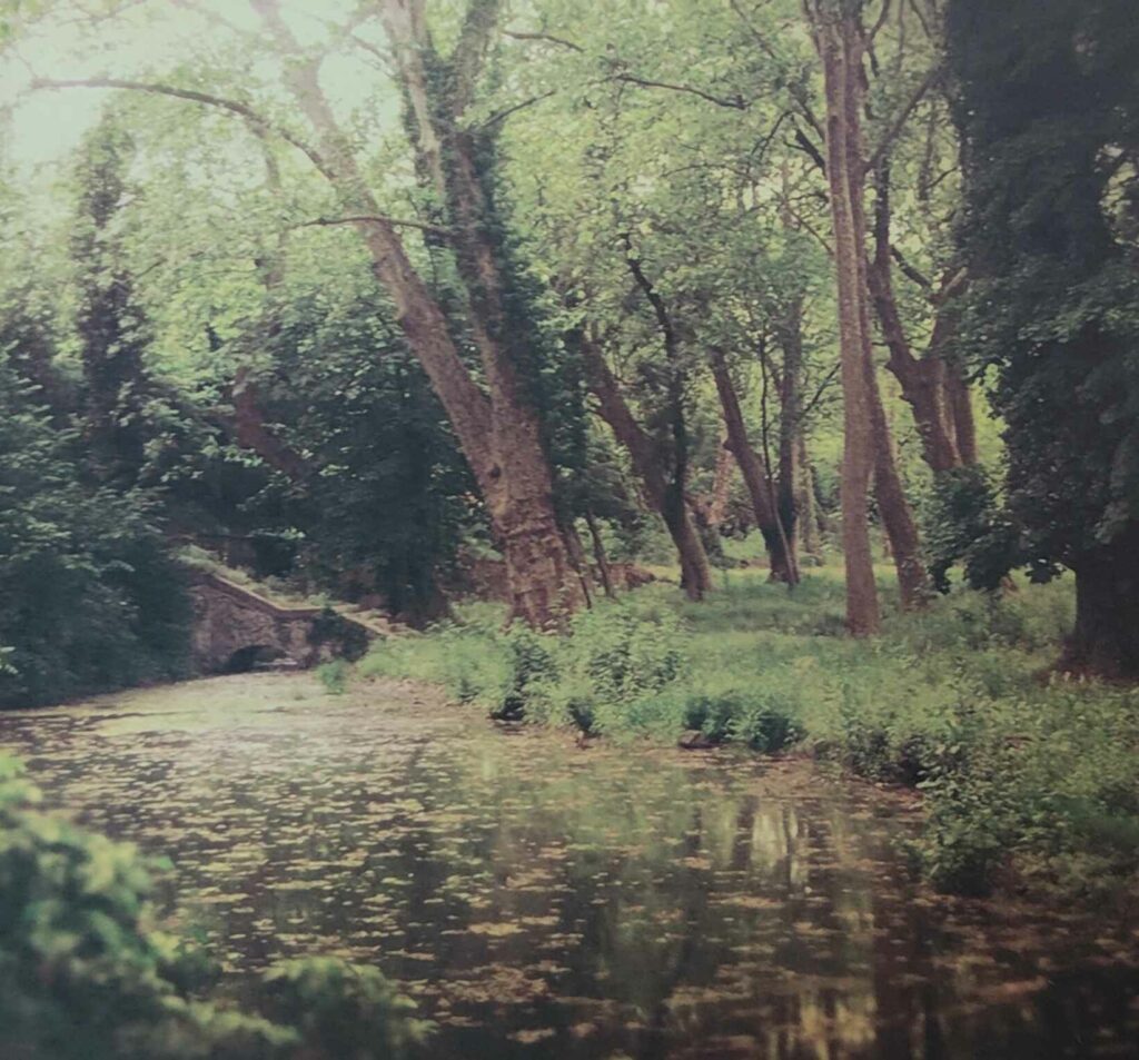 Voyage musical à travers l&rsquo;esthétique paysagère d&rsquo;Alcest – #1 : La terre de l&rsquo;éternelle jeunesse