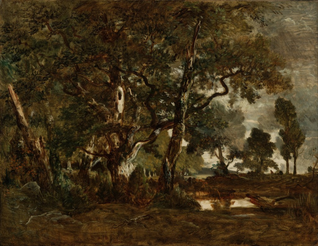 La forêt de Fontainebleau – Protection des sites et des&nbsp;paysages